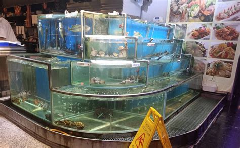 魚缸工廠|活海產缸,海鮮餐廳魚缸,水產缸,海產缸,活海產缸水族工程台中